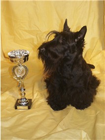 Hermine mit Pokal f&uuml;r V1 Jugendklasse in Berlin/Paaren Dez. 2004